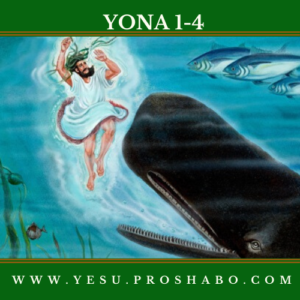 kitabu cha yohana kitabu cha yohana