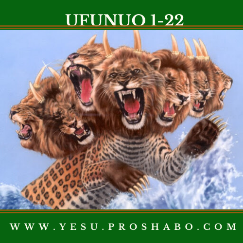 KOZI 166: KITABU CHA UFUNUO